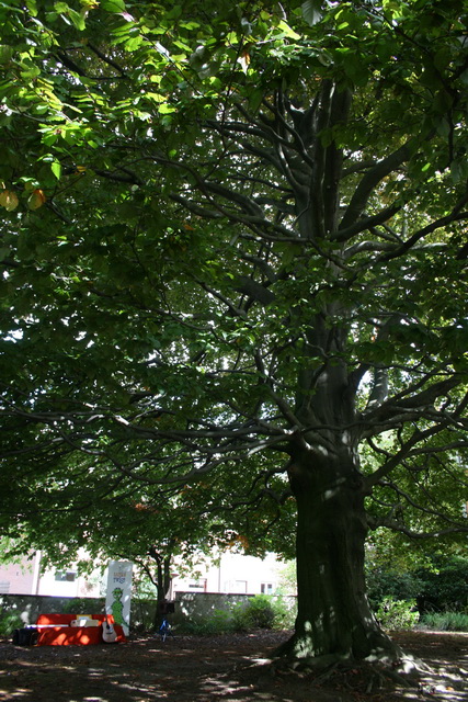 gal/2010/2010 Saitentwist Kita Dreistein Tag der offenen Tuer 26.09. Essen Haarzopf/2010 Saitentwist Dreistein Kita Tag der offenen Tuer 26.09. 012.jpg